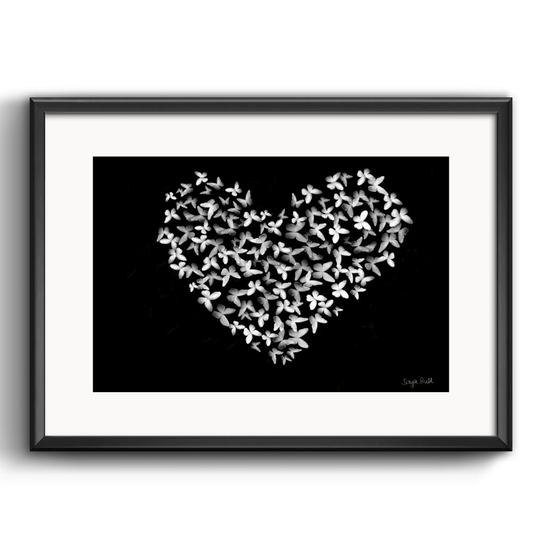 Butterfly Love Heart